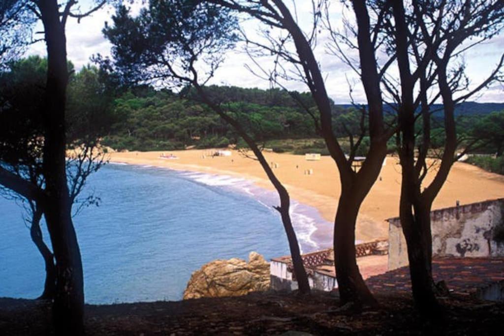 Calma S'Alguer Luxury Beach Apartment Palamós Exteriör bild